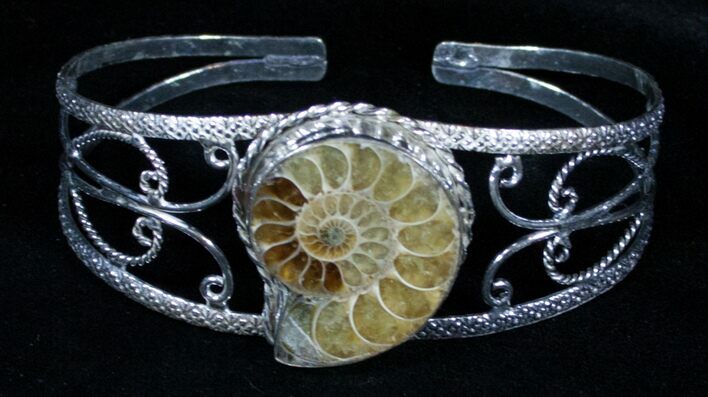 Beautiful Ammonite Fossil Bracelet #3363